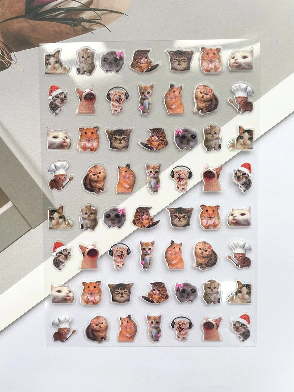 Mini Pvc Funny Cat Poster Good - مراجعة Nail Art Nail Art وسعره
